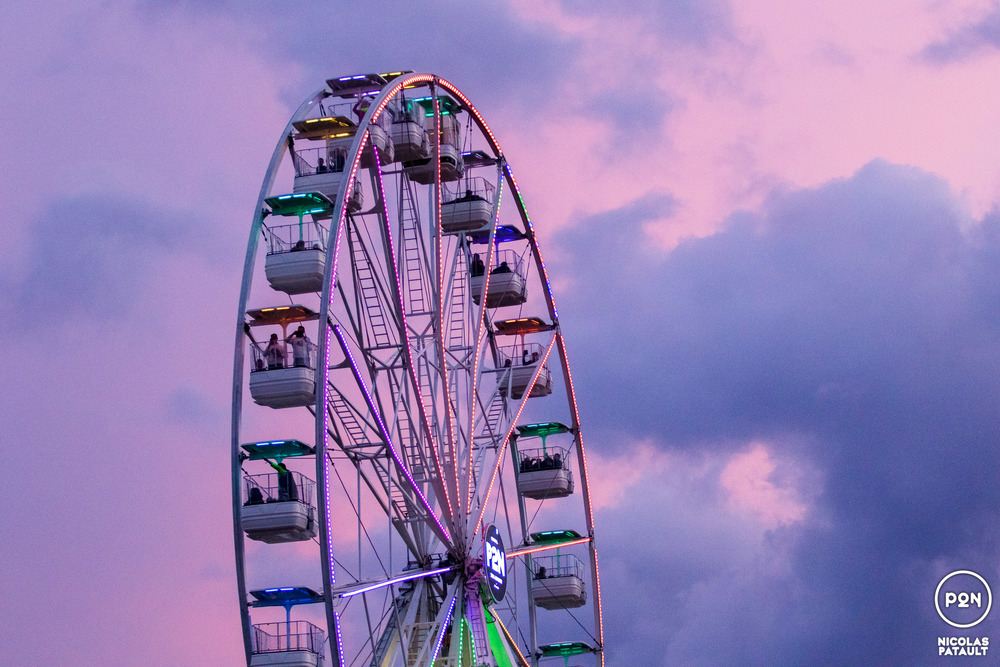 P2N - PAPILLONS DE NUIT