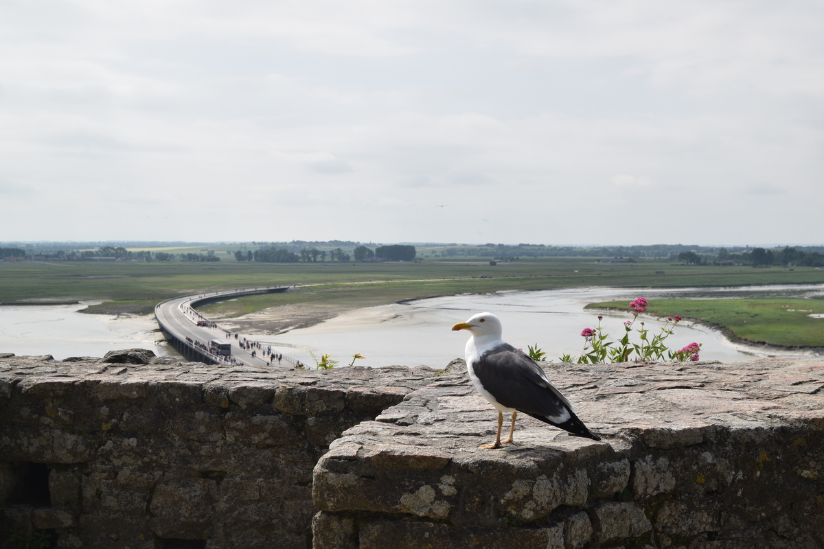 Weather at Mont Saint-Michel