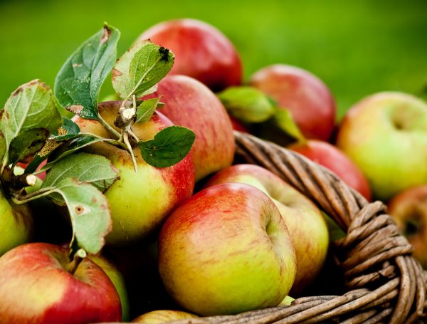 Old Norman know-how ways