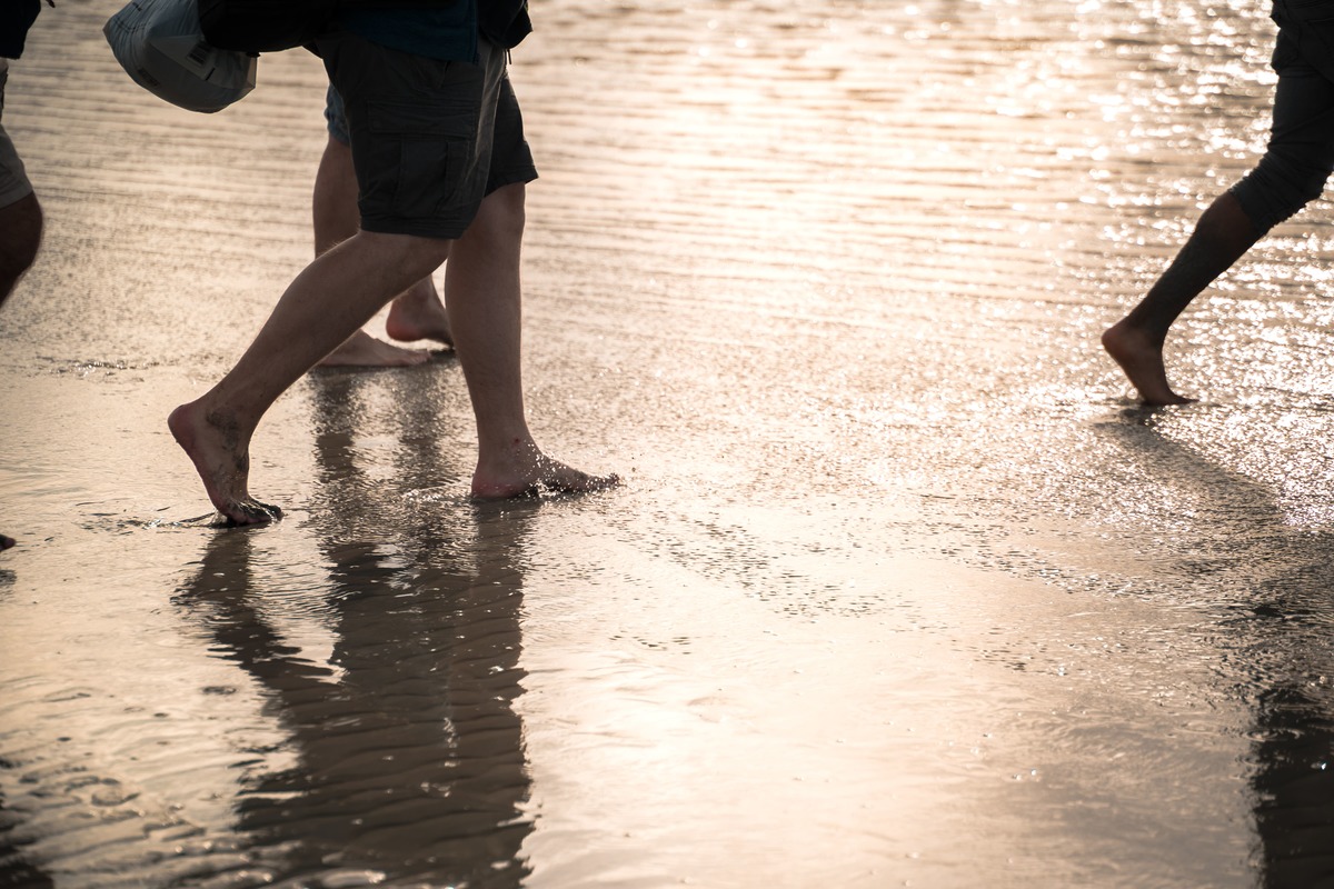 The crossings of the bay