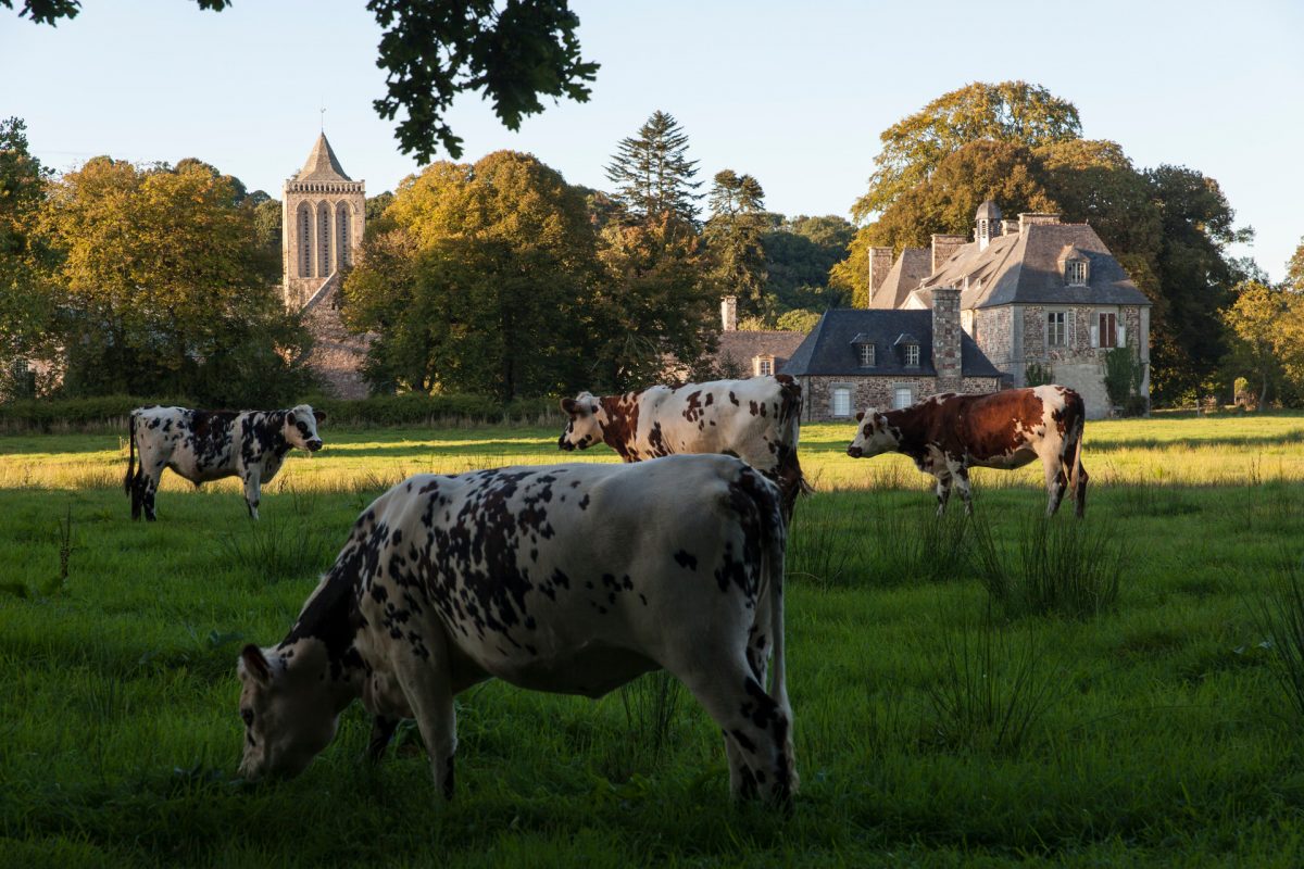 ABBAYE DE LA LUCERNE, LA LUCERNE D'OUTRE-MER, NORMANDIE FRANCE. SEPTEMBRE 2016.