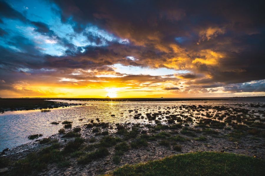 Nature’s spectacle