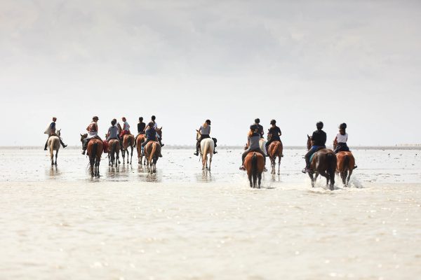 Horse riding centres