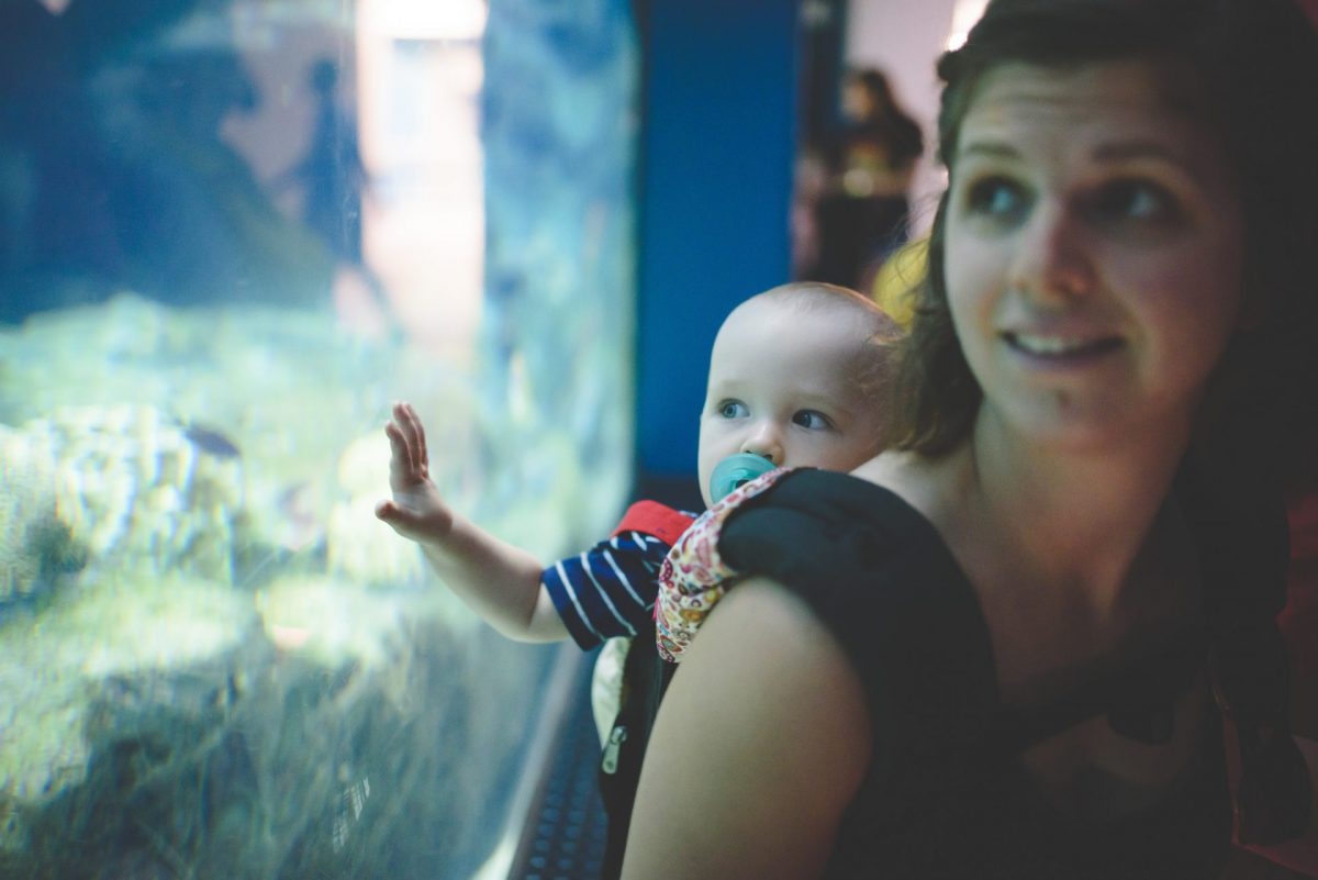 Family visit at the Aquarium