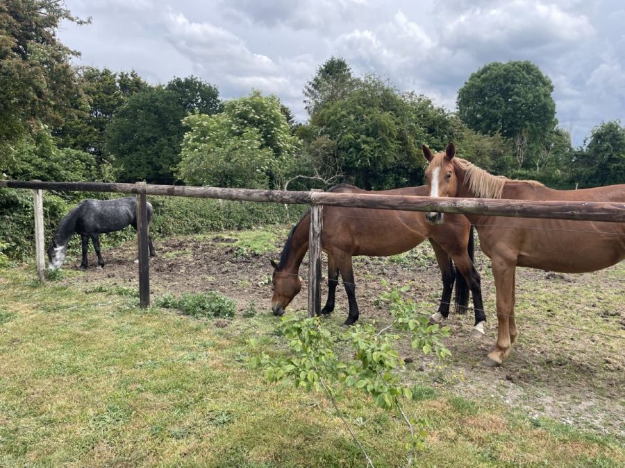 Dragey-Ronthon-Gite-de-la-Gare4
