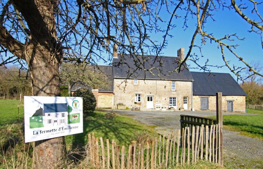 G1131-3129dd274d20467fbb48278e65b04168