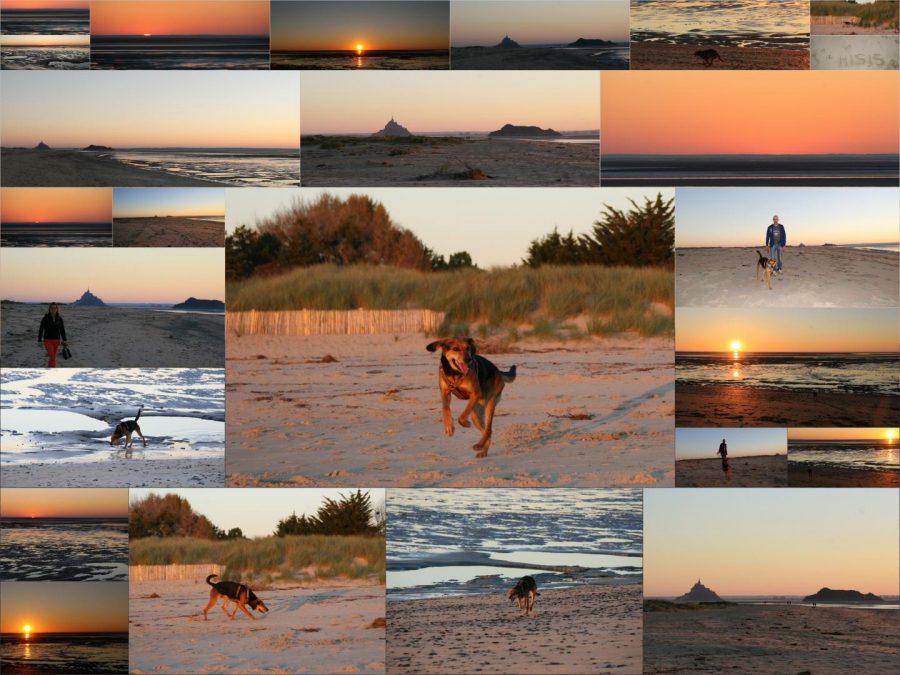 G168-46715032f3d249d3af92460bb0c5b06c