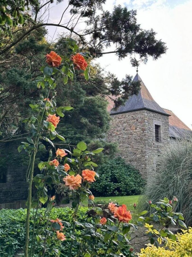 G289-4ff2a472c77a4b1b8269392d70683a5f