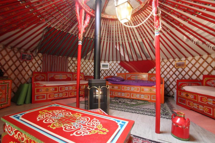 G333500-8dd44190ea784731a85054f8efbe3074