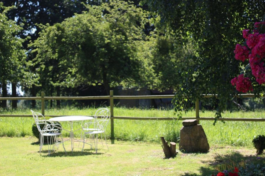 G338-46ef615d308f4f5085d6d0dedaa02cc3