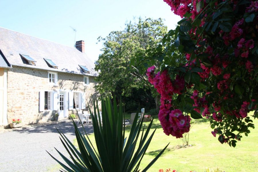 G338-535877927a5d4adfa38e9c87d5590b99