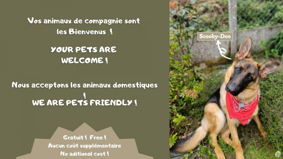 G421-159ea4b78ef24e6ebc0e460996c03370