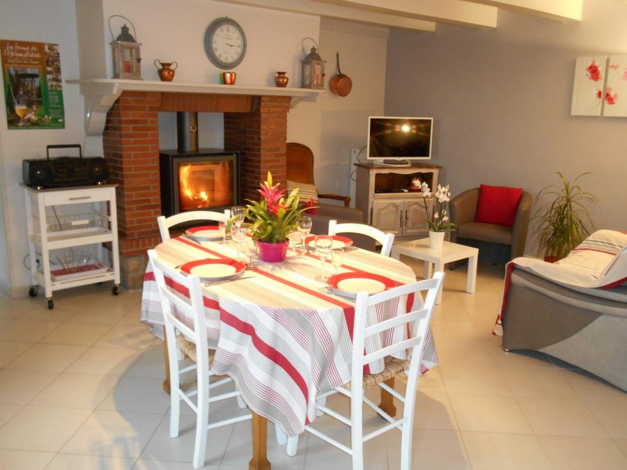 G466-1d1f8e98d688443e8db252a627414d6c