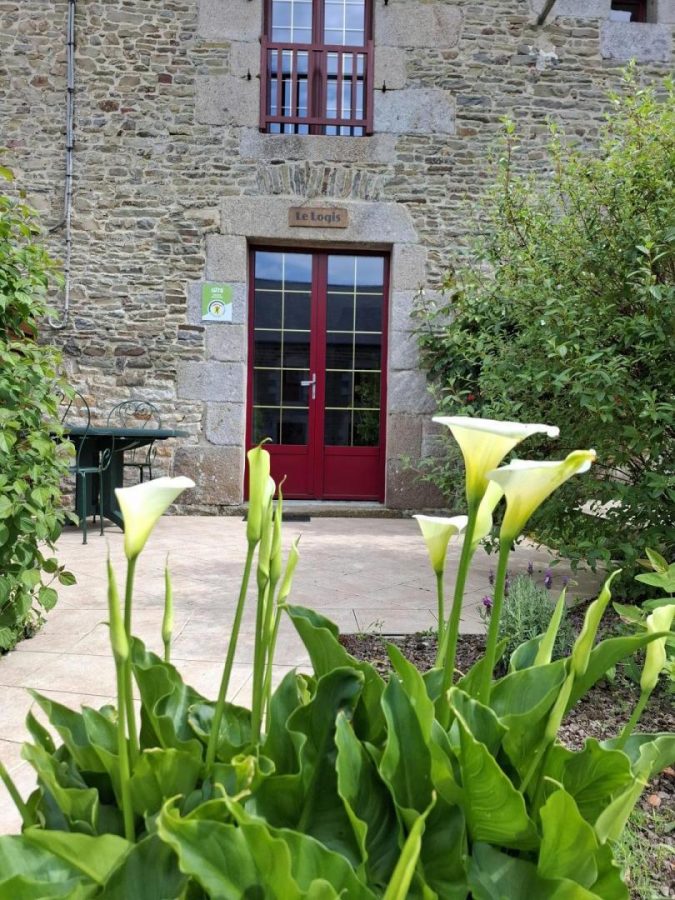 G786-dc8d4a4ff1d64ed898b32720b7aff7b2