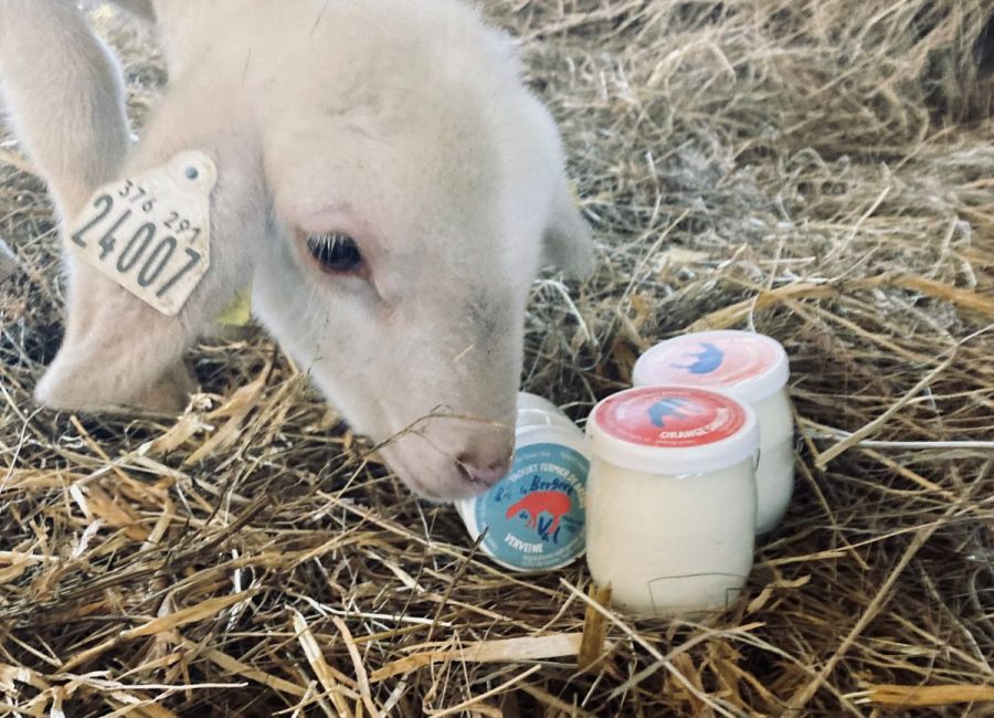 Le-Val-Saint-Pere-La-Bergere-du-Val