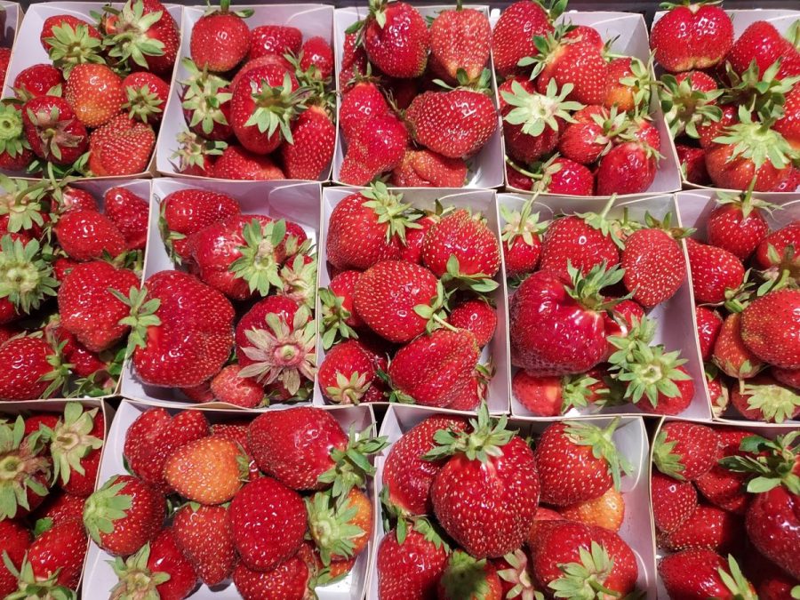 Mortain-Bocage-La-Ferme-Ou-LOn-Seme2