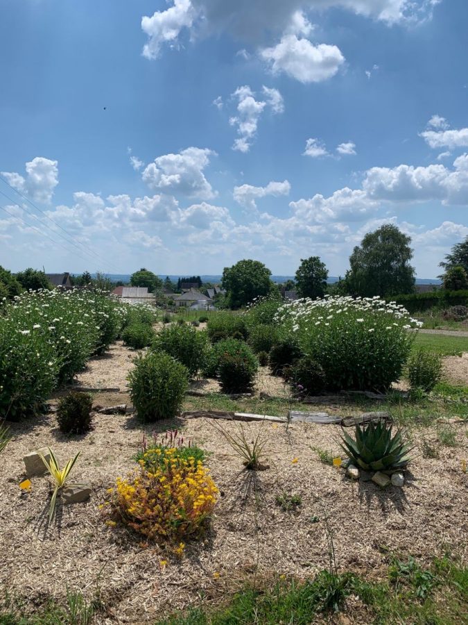 Romagny-Parcelle-Fleurie2