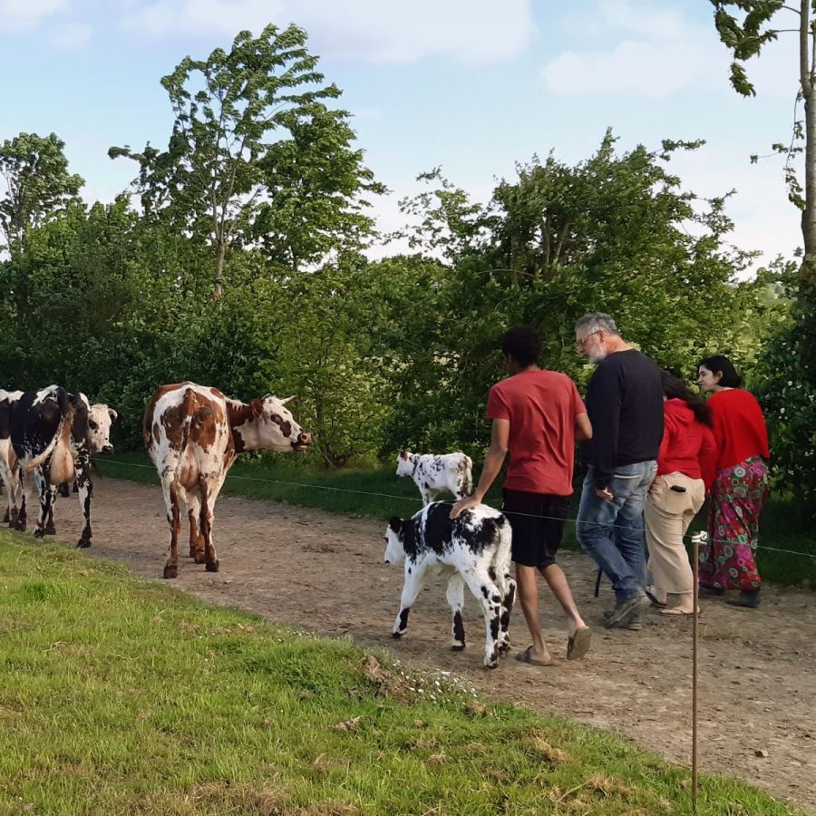 SAINT-CYR-DU-BAILLEUL-Ferme-de-la-Motte2
