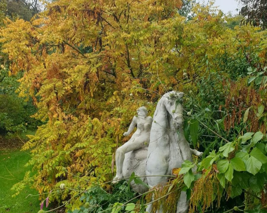 Saint-Georges-de-Rouelley-Le-Jardin-Habite1