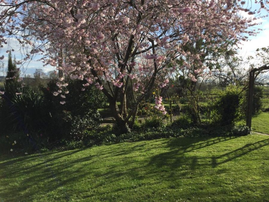 Saint-James-Cottage-Normand5