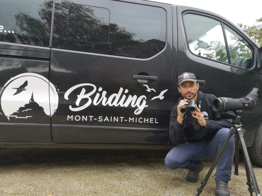 birding-mont-saint-michel-jullouville-1