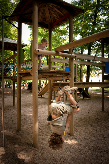 Forêt de Villecartier