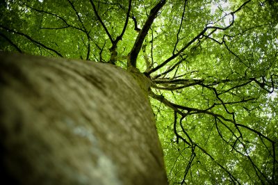El Valle del Couesnon