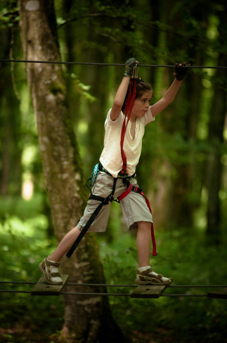 Récréanature - Forêt de Villecartier