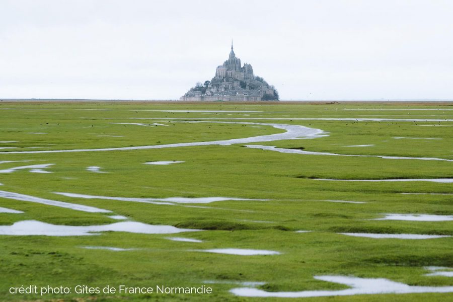 G1183-224a03b9d1c149b9b91e17cd5629bf89