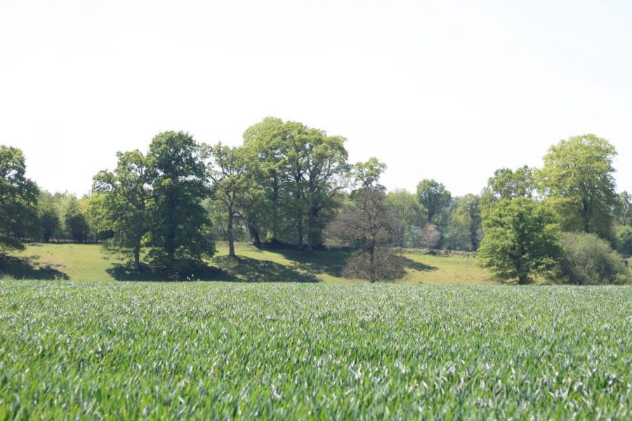 G17-0e93c2d188eb4d979aa908b1bf51c11f