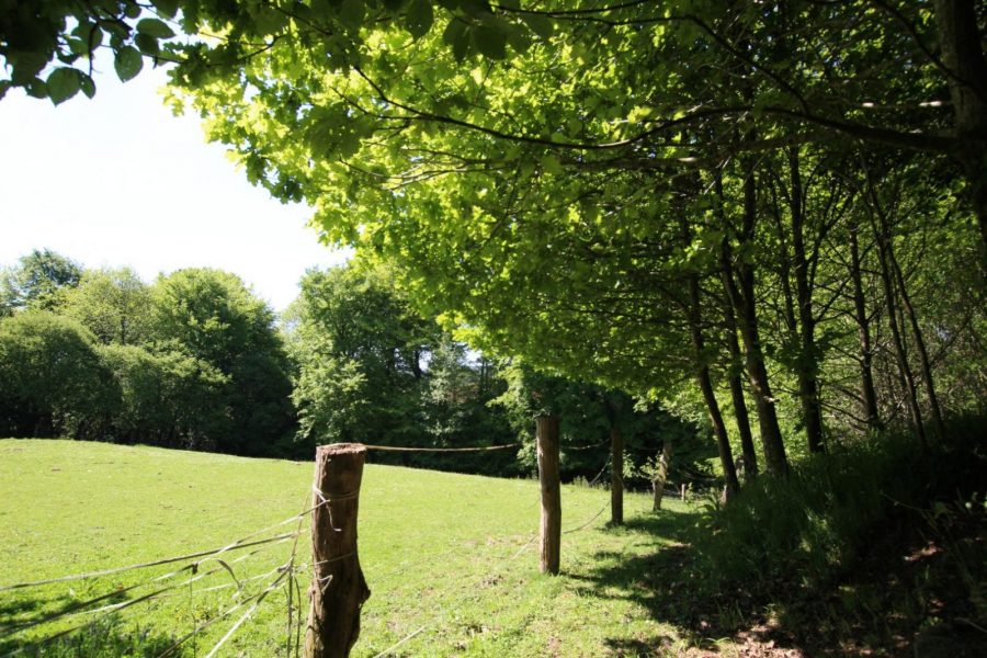 G308-00cf3cdc6e02442190ccb0d400b14994