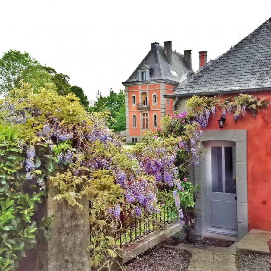 G330-1d4469d1224b4db5ad163c0f7032d605