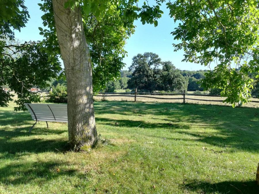 G333280-0b3ececc2341493c87a877c71358d099