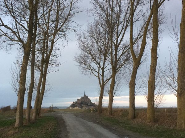 Arbre Etoilé – Myriam – Relaxation et Marche Afghane