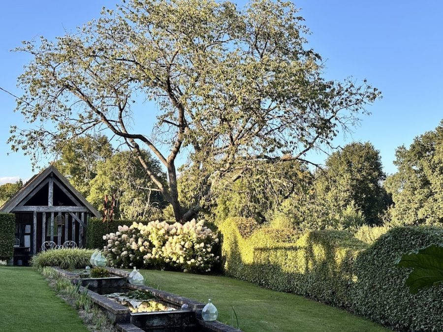 Isigny-le-Buat-Jardin-du-Cassel2