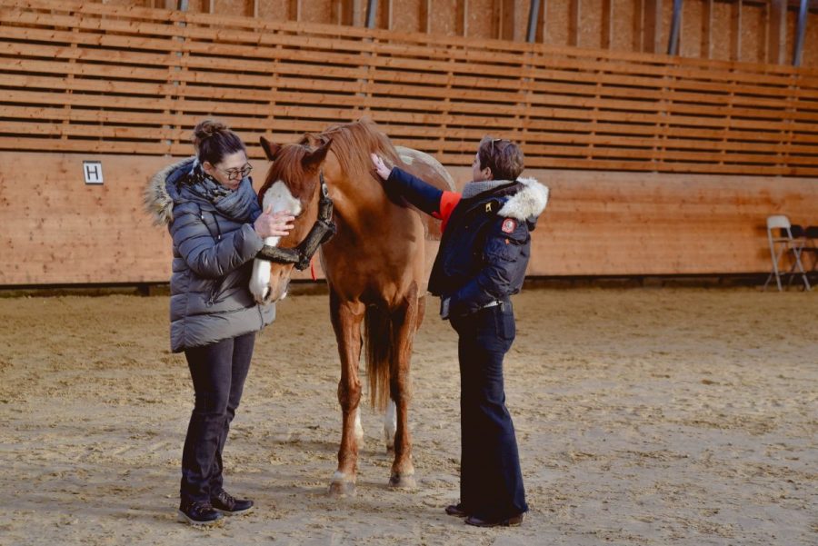 La-Chaise-Baudouin-Equi-Coaching4