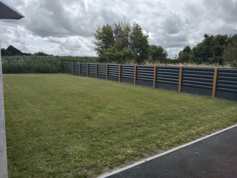 Pontorson-10Abricotier5