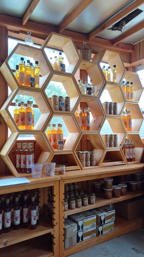 Pontorson-Atelier-Mellifica3