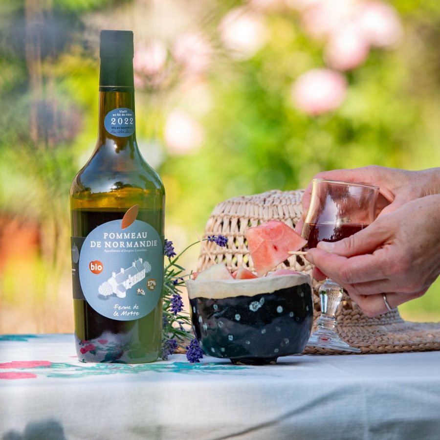 SAINT-CYR-DU-BAILLEUL-Ferme-de-la-Motte5