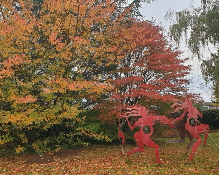 Saint-Georges-de-Rouelley-Le-Jardin-Habite4