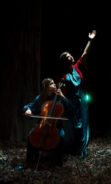 Saison Culturelle > Concert “Birds on a Wire”