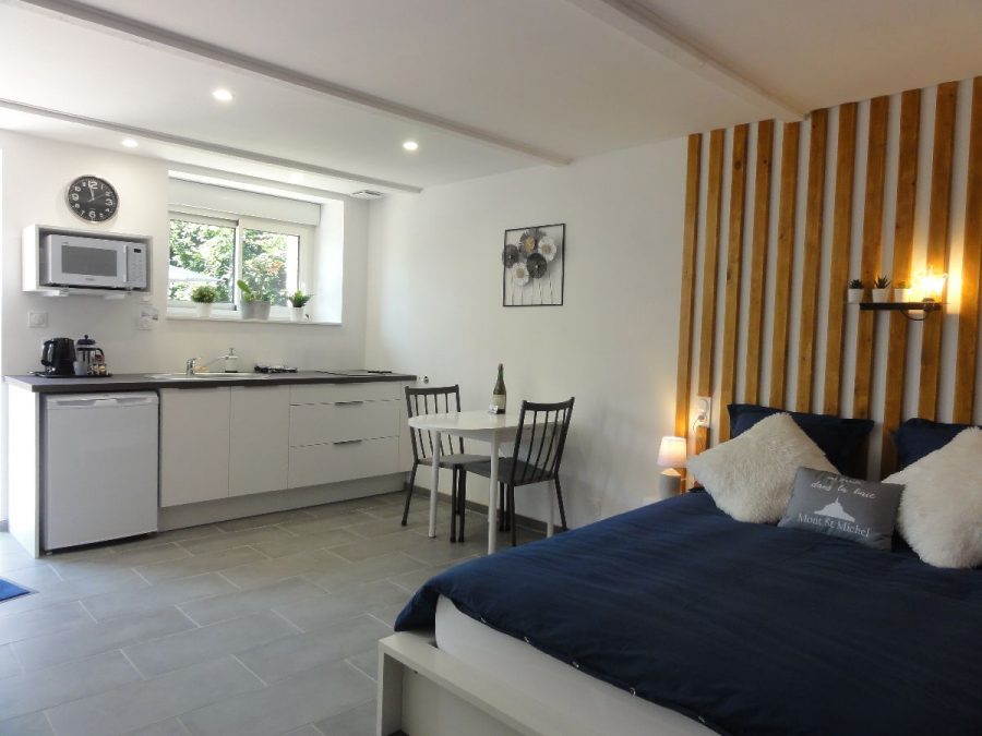 Tanis-saudrais-mont-studio-6