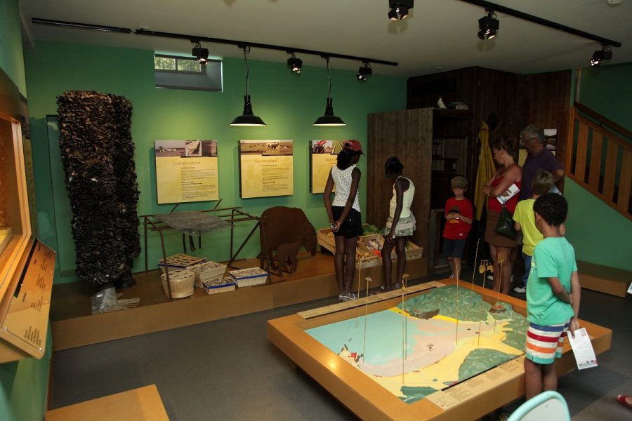 Vains-Ecomusee-de-la-Baie-25-07-12-D.Daguier-CD50-157