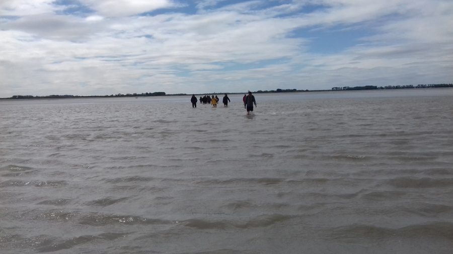 anne-laure-falguieres-guide-2