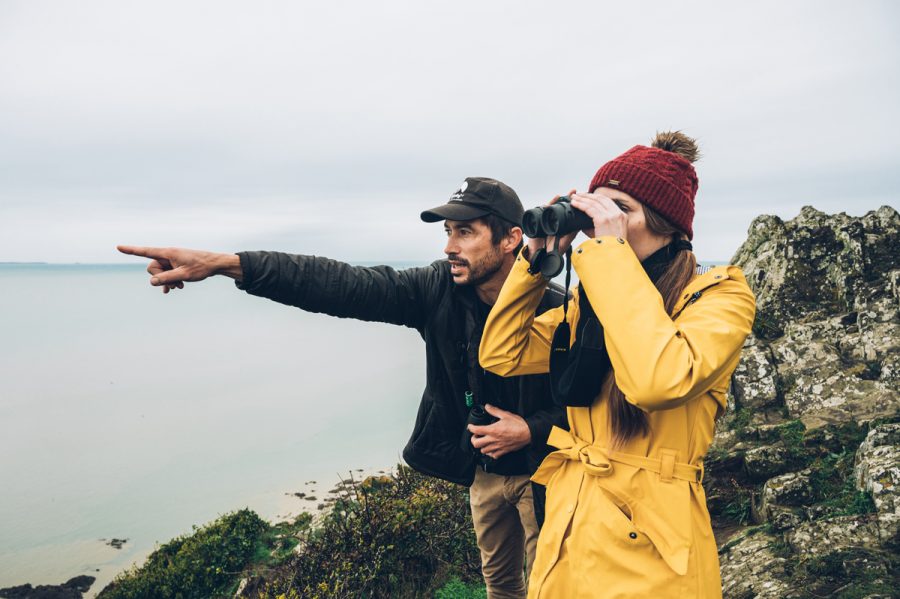 birding-mont-saint-michel-jullouville-3