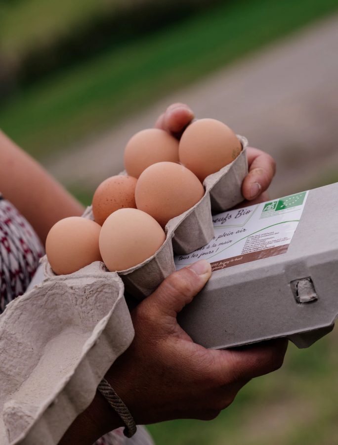 isigny-le-buat-commerce-au-manoir-de-glams–4-