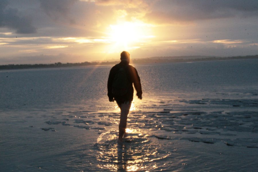 vains-sebastien-lechartier-guide-2