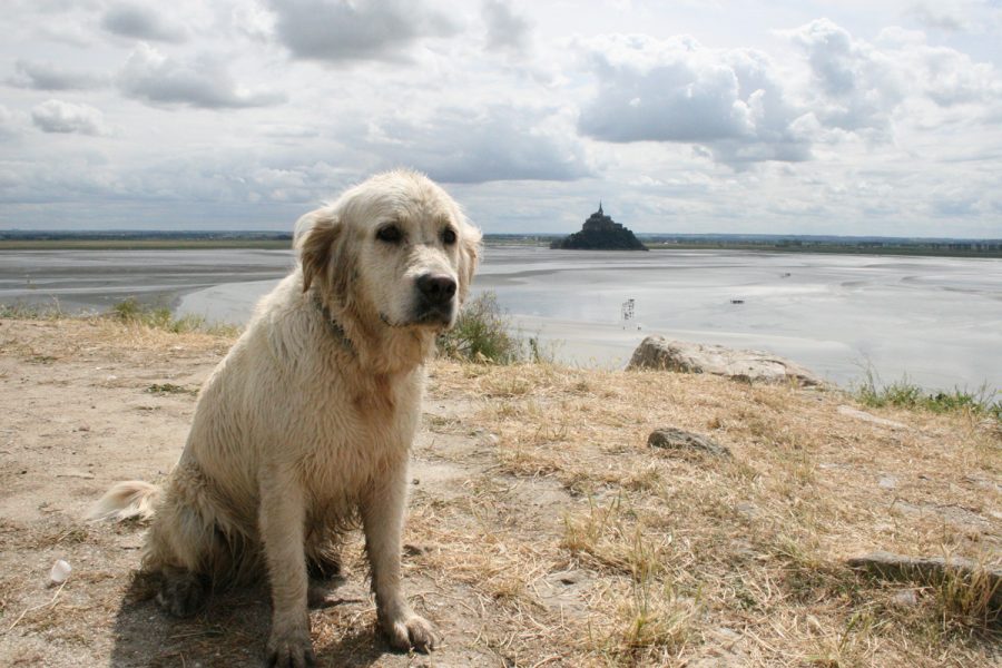 vains-sebastien-lechartier-guide-5