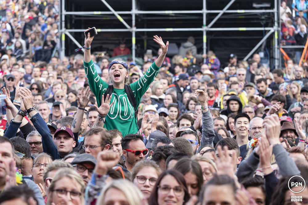 P2N - PAPILLONS DE NUIT