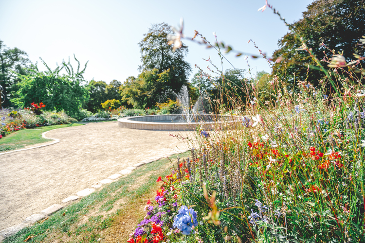 Jardin des plantes - Avranches